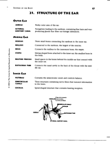 Structure of the Ear