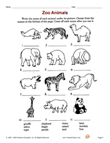 Zoo Animals