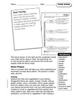 Plant Structure and Function: Family Activity