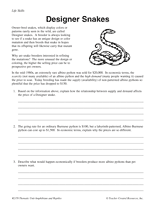 Designer Snakes