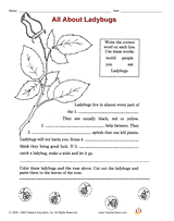 All About Ladybugs