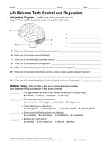Life Science Test: Control and Regulation