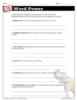 Characteristics of Mammals Word Power