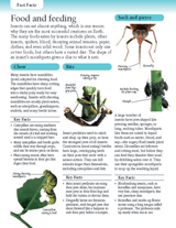 Insect Food and Feeding