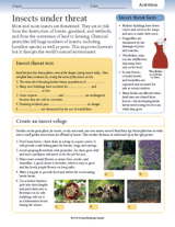 Insects Under Threat