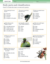 Insect Body Parts and Classifications Quiz