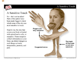 Skin, Nose, Tongue Mini-Lesson -- PowerPoint Slideshow